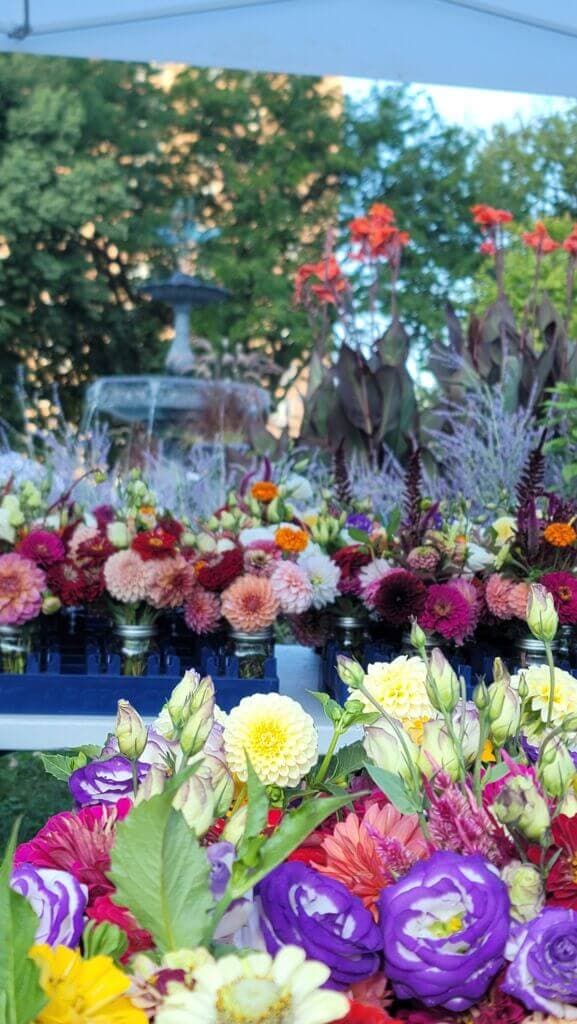 Gorgeous flower display with dahlias, zinnias in vibrant colors at market